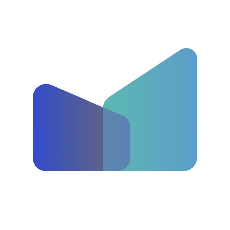 MoneyVize Logo